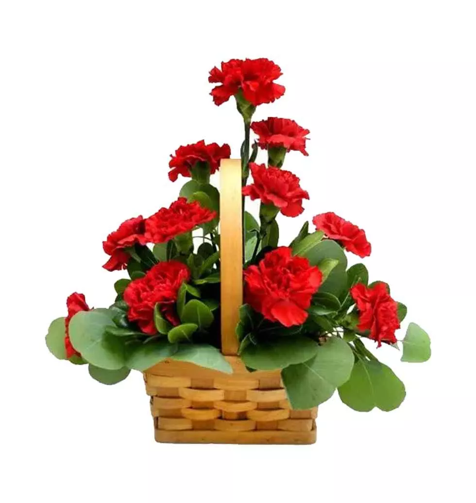 Aromatic 12 Stunning Red Carnations in a Basket
