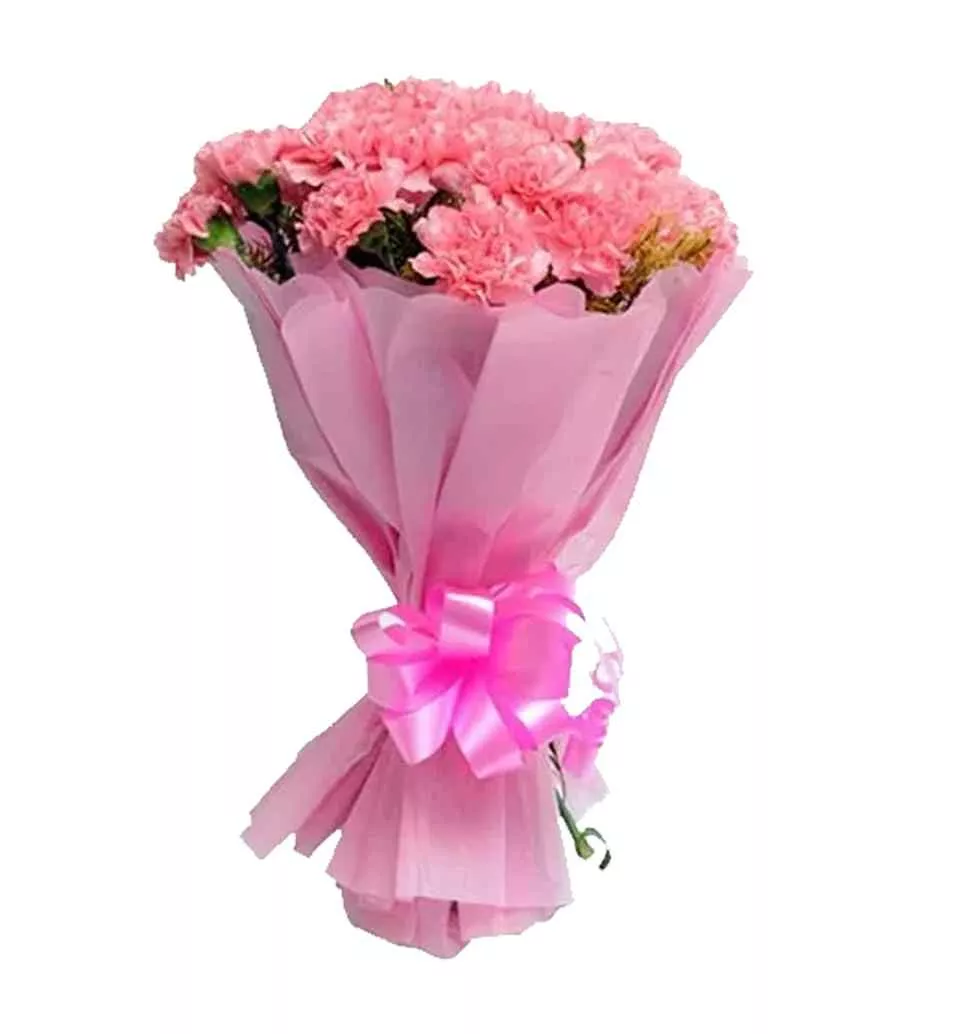 Distinctive 12 Fresh Pink Carnations