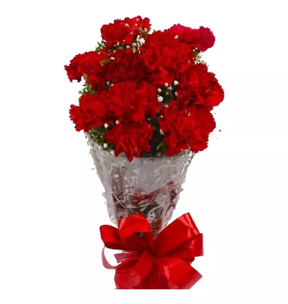 Extravagant Red Carnation Basket
