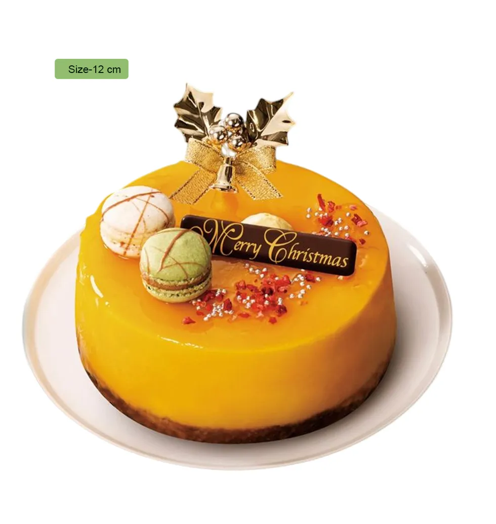 Citrus-Kissed Christmas Chocolate Cake With Candle
