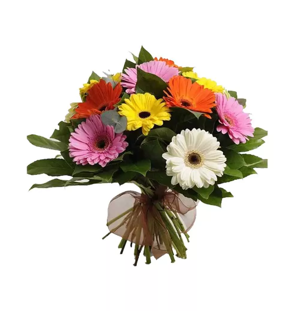 Colorful 12 Gerberas Bouquet