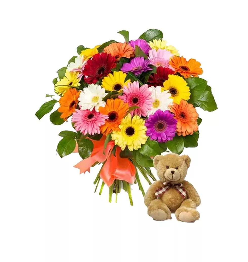 Dazzling Gerberas with Teddy Bear