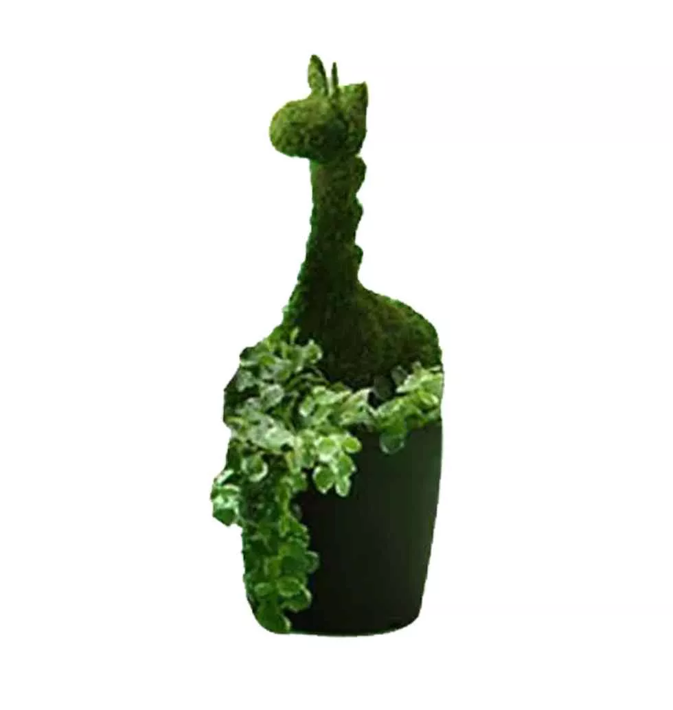 Eye-Catching Giraffe Shape Moss Plant