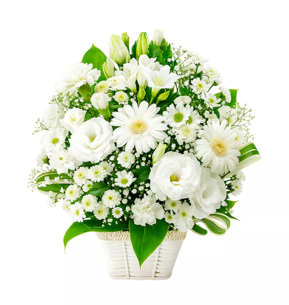 Timeless Tribute in White