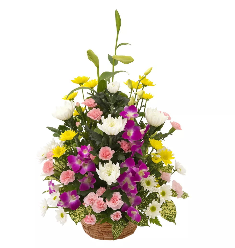 Tribute of Blossoms