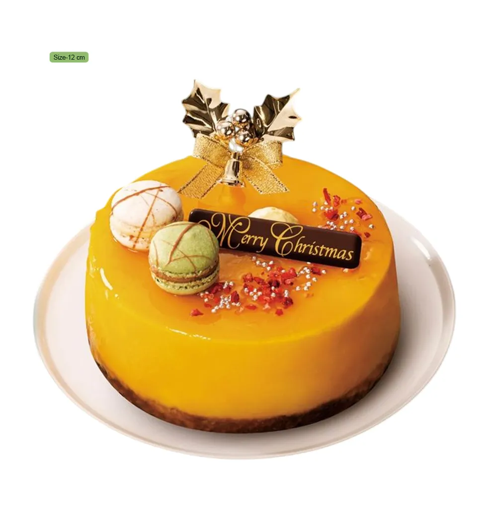 Citrus-Kissed Christmas Chocolate Cake With Candle